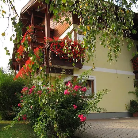 Apartment Haus Bliem *